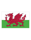 Flag Wales, Printwear  // FLAGWLS